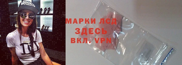 гидра Богородск